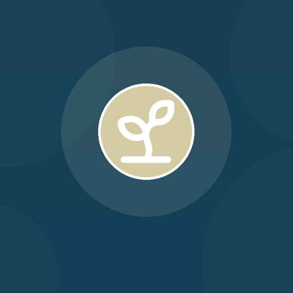 Direct Support Providers: Introduction to Trauma Informed Care