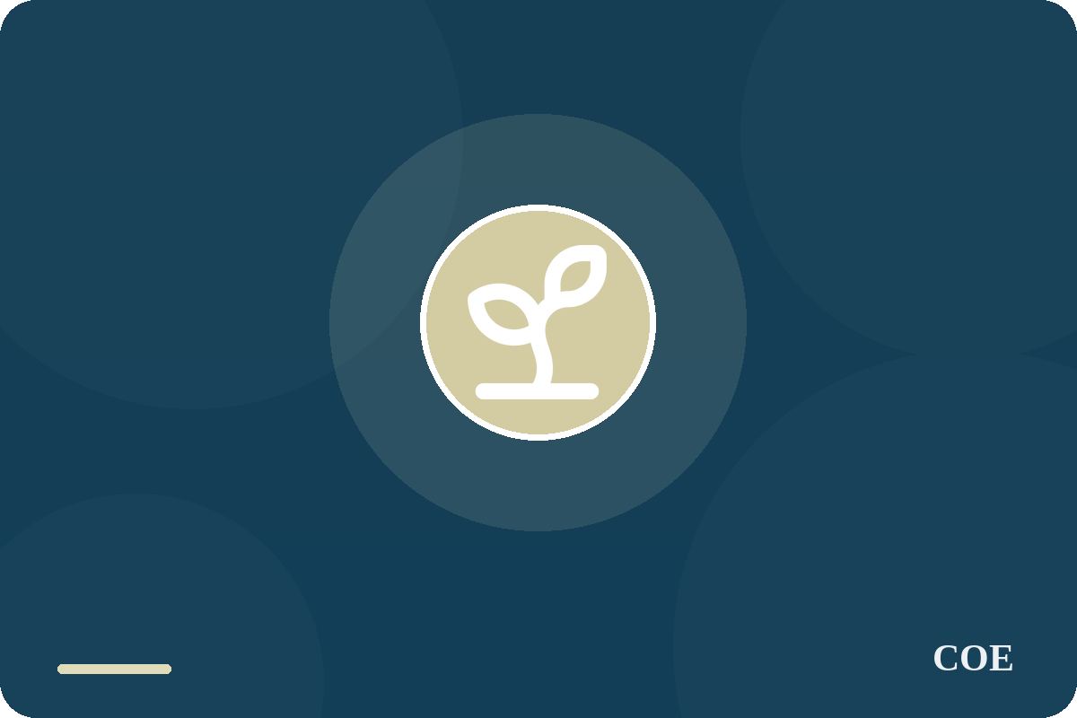 Direct Support Providers: Introduction to Trauma Informed Care